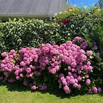 Beachfront House Mundaka