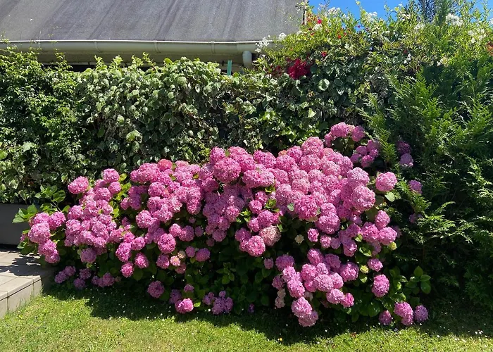 Beachfront House Мундака