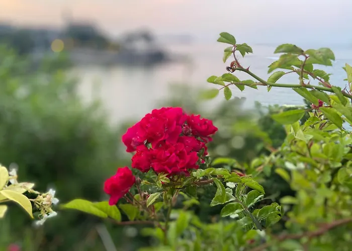 Вилла Beachfront House Мундака