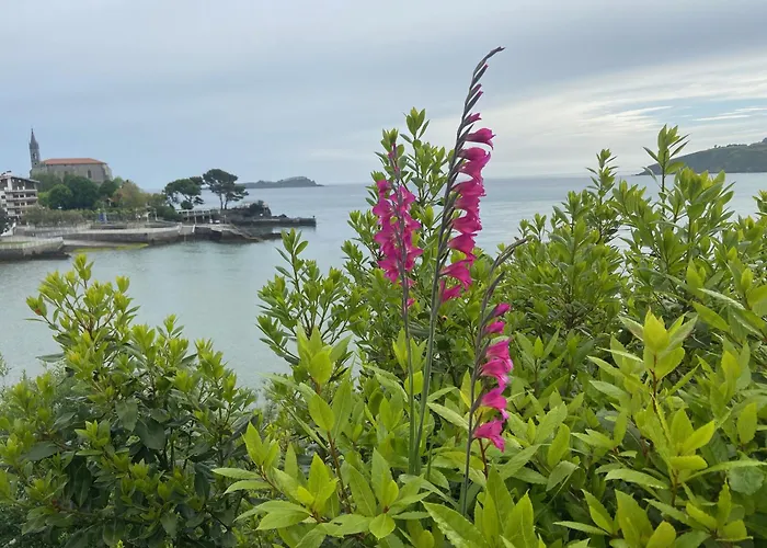 Вилла Beachfront House