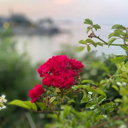 Βίλα Beachfront House Mundaka